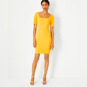 Scoop Neck Short Sleeve Sheath Dress
Citrus Sun
